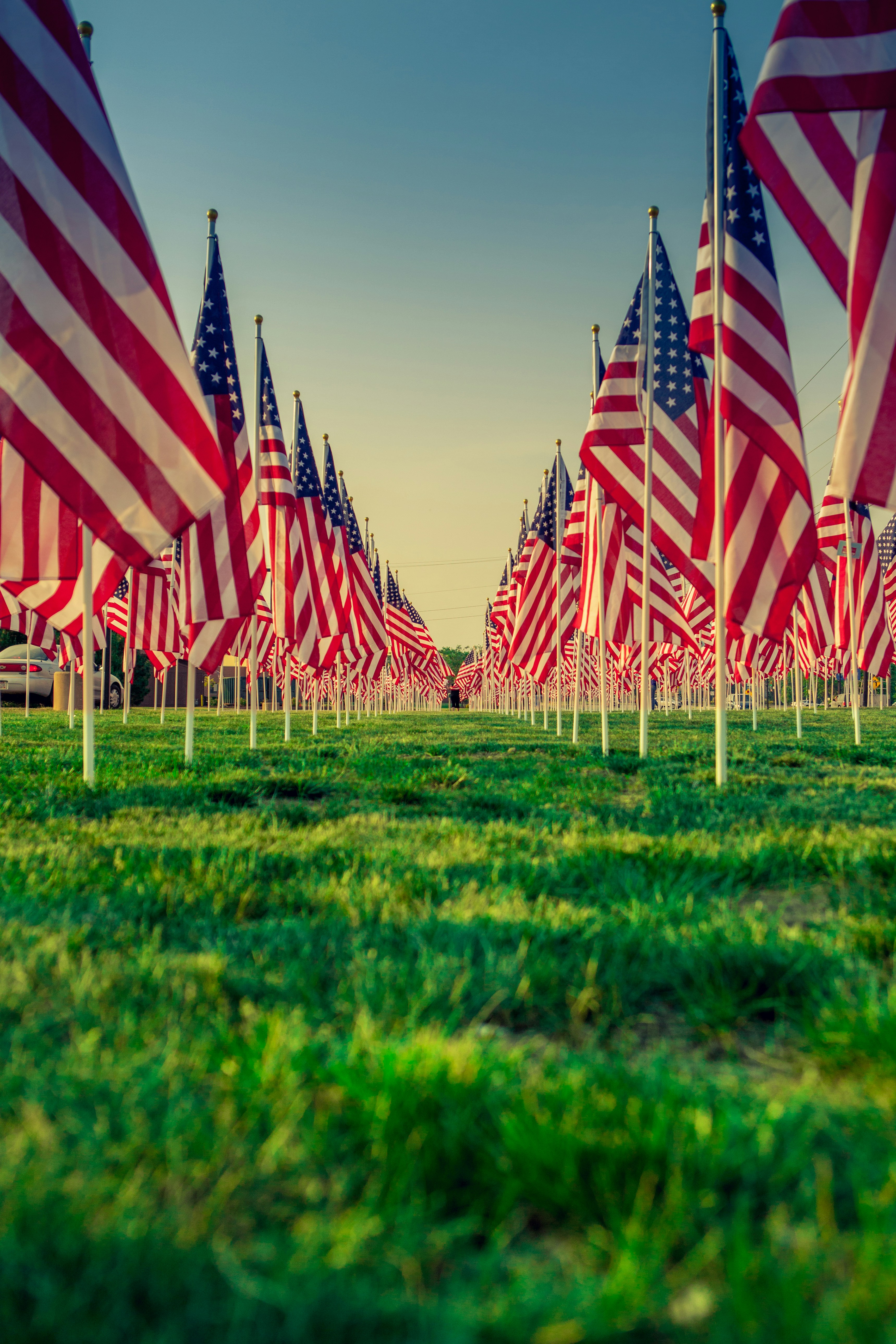 Field of American flags at golden hour